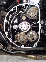 DSCN4231
