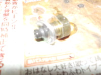 DSCN7551