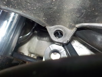 DSCN5951