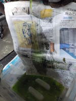 DSCN2892
