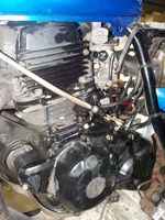 DSCN3110
