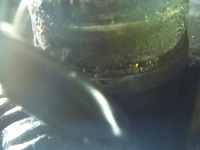 P1030926