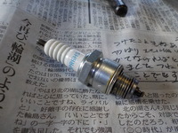 DSCN9784