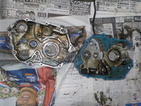 DSCN4662