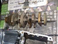 DSCN8048