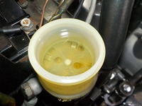 DSCN4174