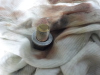 DSCN5579