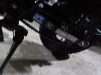 DSCN5728