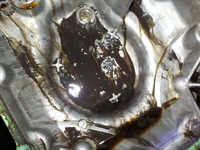 DSCN9451