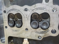 DSCN8017