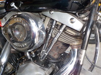 DSCN7452