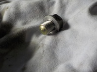 DSCN8775