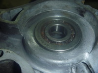 P1050896