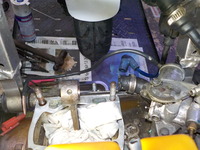 DSCN8246
