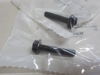 DSCN8697