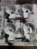 DSCN8974