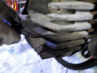 DSCN0763