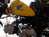 DSCN6748