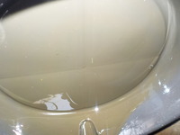 DSCN6045
