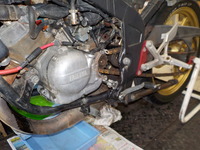 DSCN0245