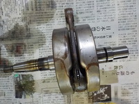DSCN2810