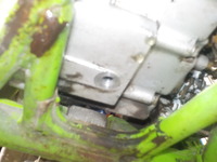 DSCN3147