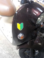 DSCN3540