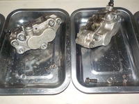 DSCN9558