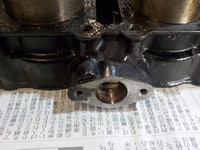 DSCN5470