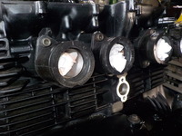 DSCN6617