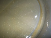 DSCN1261