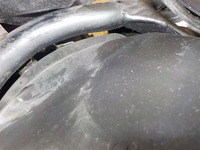 DSCN8407