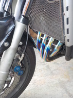 DSCN6565