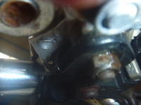 P1150068