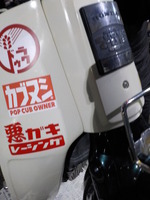DSCN3685