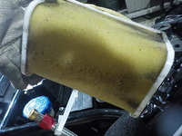 DSCN8487