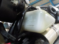 DSCN2667