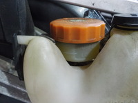 DSCN5929
