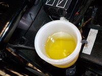 DSCN3988