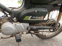 DSCN6121
