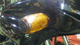 xelvis20111206ws (19)