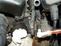 DSCN5582