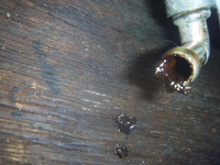 P1180039