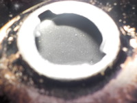 DSCN7786