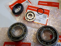DSCN4873