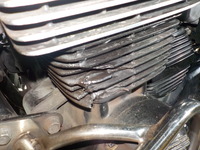 DSCN5960
