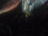 P1040237