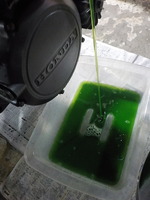 DSCN1502