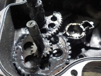 DSCN8405