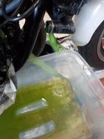 DSCN9201